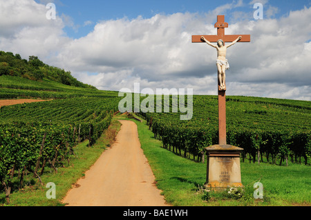 Statue von Jesus Christus im Weinberg, Kaysersberg, Haut-Rhin, Elsass, Frankreich Stockfoto