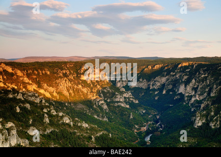 Ansicht des Gorges du Tarn von Point Sublime, Languedoc-Roussillon, Frankreich Stockfoto