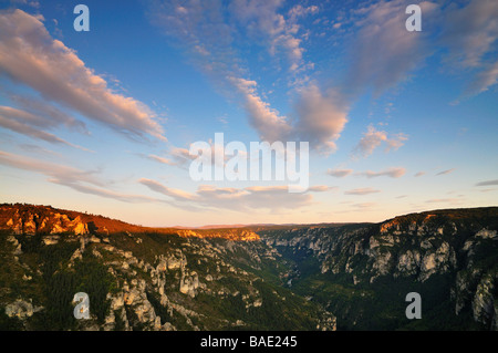 Ansicht des Gorges du Tarn von Point Sublime, Languedoc-Roussillon, Frankreich Stockfoto