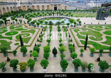 Orangerie, Gärten von Versailles, Versailles, Ile de France, Frankreich Stockfoto