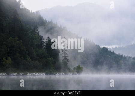 Misty Lake in Bergen, Plansee, Reutte, Tirol, Österreich Stockfoto