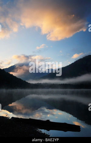 Misty Lake in Bergen, Plansee, Reutte, Tirol, Österreich Stockfoto