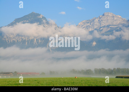 Nebel und Berge, Österreich Stockfoto