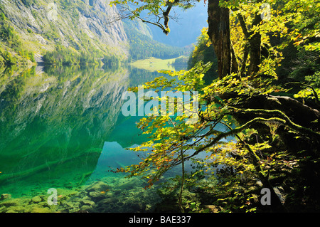 Bodensee, Nationalpark Berchtesgaden, Bayern, Deutschland Stockfoto