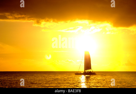 Ein einzelnes Segel-Katamaran segelt bei Sonnenuntergang in Barbados Stockfoto
