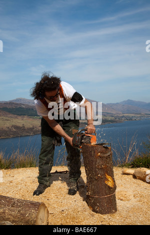 Holzschneider, Kettensäge Schnitzen ein beliebtes Sport- und Hobby für viele Benutzer von Kettensägen. Mann mit Husqvarna Kettensäge auf einem Hügel über Loch Broom, Schottland, Großbritannien Stockfoto