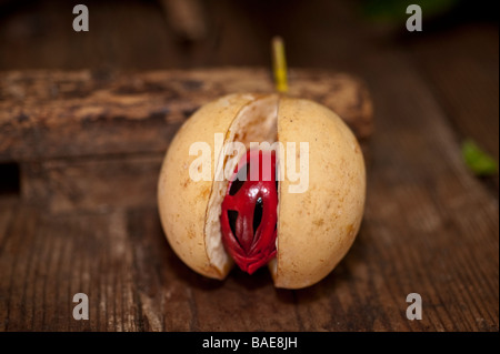 Eine ganze Muskatblüte wird aufgebrochen, um das leuchtend rote Arill, bekannt als Muskatblüte, zu zeigen, das den Samen auf einer rustikalen Holzoberfläche umgibt Stockfoto
