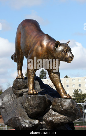 Eine riesige bronzene Statue von einem Cougar sitzt nun durch den Haupteingang, Martin Stadium auf dem Campus der Washington State University. Stockfoto