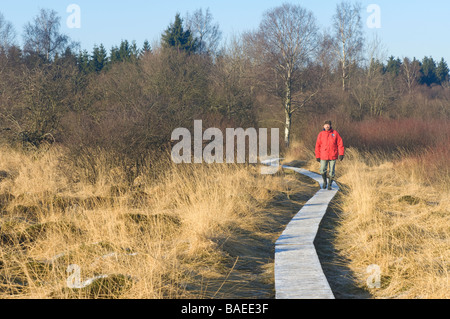 Hautes Fagnes Reserve im Winter Mann zu Fuß auf einem gefrorenen Holzsteg Eupen Provinz Lüttich Belgien Stockfoto