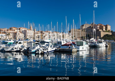 Blick über den Hafen zur Kirche Ste-Marie und Zitadelle Calvi Korsika Frankreich Stockfoto