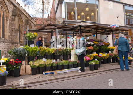 Eine Frau kauft frische Blumen in der Straße von einem Marktstand in York, Yorkshire, Großbritannien Stockfoto