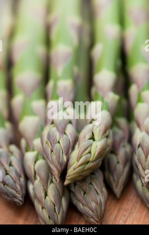 Spargelspitzen in einem Bündel Stockfoto