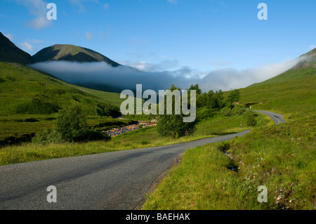 Beinn Mhic Chasgaig über dem Morgennebel in Glen Etive, Highland Region, Schottland, Großbritannien Stockfoto