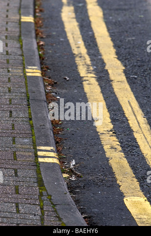 Doppelte gelbe Linien Stockfoto