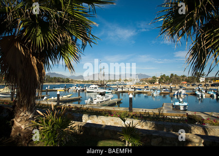 Mexiko La Playita Pangas und Angelboote/Fischerboote im Hafen von Marina in Morgen Bergen der Sierra De La Laguna angedockt Stockfoto