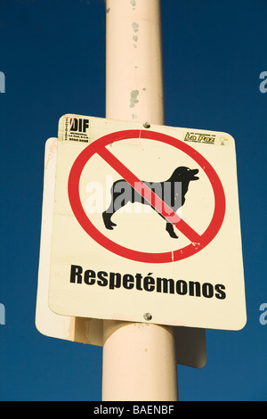 Mexiko-La Paz-Hunde verboten in spanischer Sprache in ausgeschildert post-roten Kreis mit Schrägstrich Stockfoto