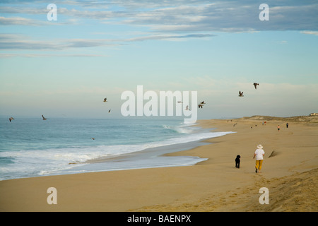 Mexiko Todos Santos Menschen zu Fuß entlang dem Pazifischen Ozean in Morgen Pelikane fliegen und Wellen an der Küste Playa La Cachora Stockfoto