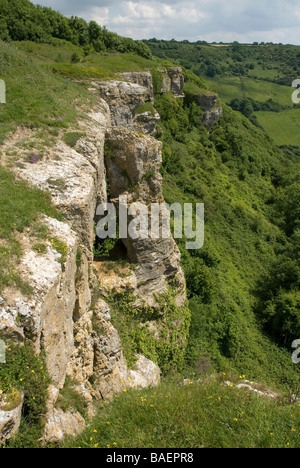 Küste von South Devon, Blick nach Westen entlang West Cliff in der Nähe von Branscombe Stockfoto