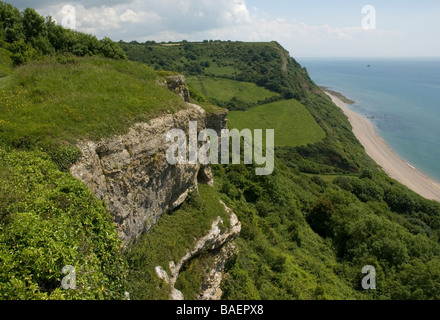 Küste von South Devon, Blick nach Osten entlang der West Cliff zum Hooken Strand in der Nähe von Branscombe Stockfoto