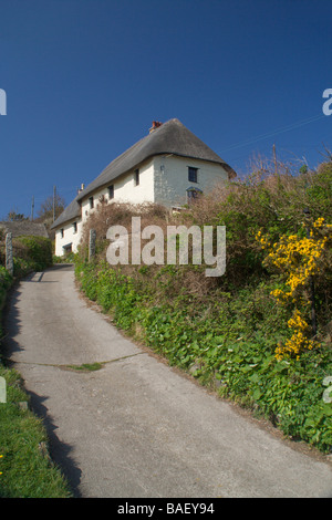 Reetdach Ferienhaus in Kirche Bucht, in der Nähe von Lizard, Südküste Cornwall, England Stockfoto