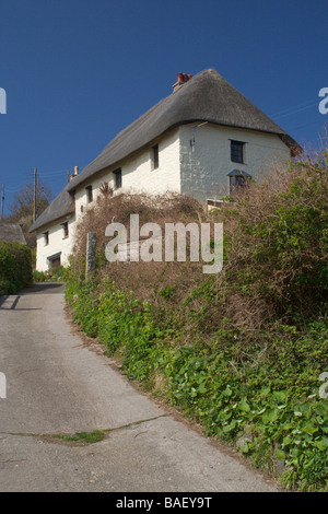 Reetdach-Ferienhaus in Kirche Bucht, in der Nähe von The Lizard, Cornwall, England Stockfoto