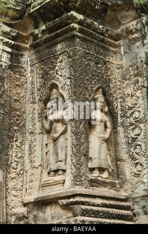 Devatas in einer Nische Ta Som Tempel Angkor Siem Reap Kambodscha Stockfoto