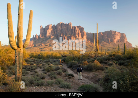 Wanderer auf dem Weg zum Superstition Mountains - Lost Dutchman State Park - Apache Junction, Arizona Stockfoto