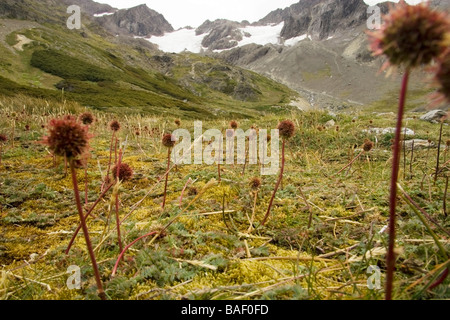 Trail zu Glacier Martial - Ushuaia, Argentinien Stockfoto