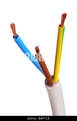 Kern und Erde Elektrokabel Twin wire UK Sicherheitsvorschriften Normen Stockfoto