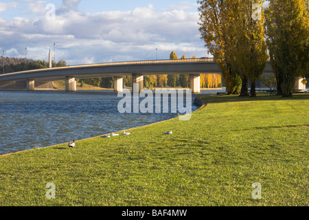 Commonwealth Avenue Bridge, Canberra, Australian Capital Territory, Australien Stockfoto