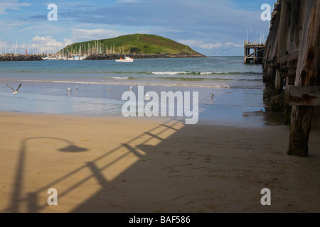 Jetty Beach, Muttonbird Island, Coffs Harbour, New South Wales, Australien Stockfoto