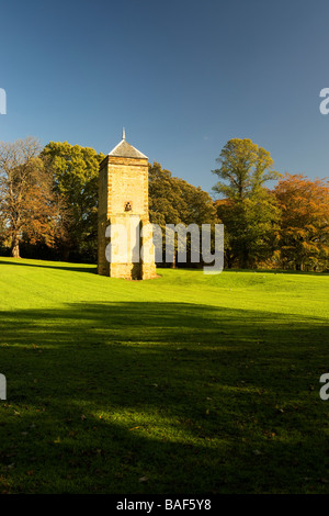 Tauben in Abington Park, Northampton, England, UK Stockfoto