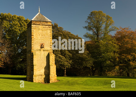 Tauben in Abington Park, Northampton, England, UK Stockfoto