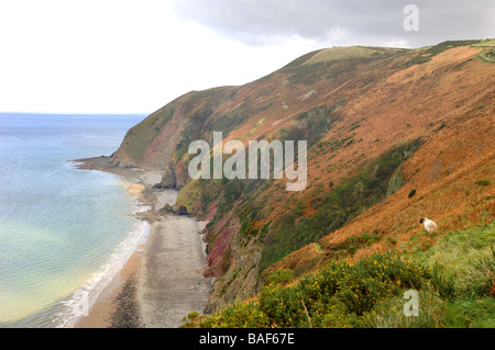 North Devon Küste mit Blick auf Forland zeigen Exmoor National Park Devon England Stockfoto