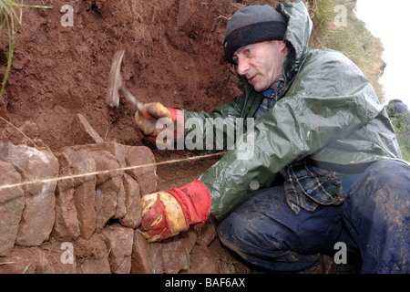 Trockenmauer, aufbauend auf Exmoor Teil einer Urlaub Erfahrung, alte ländliche Handwerk zu lernen Stockfoto