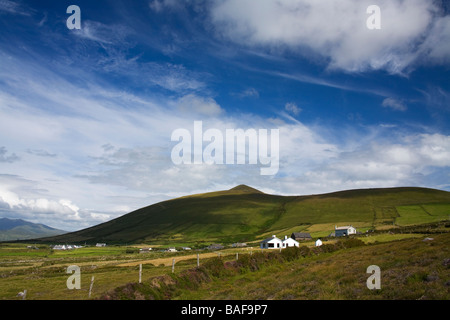 Clogher Head Dingle Halbinsel County Kerry Irland Stockfoto