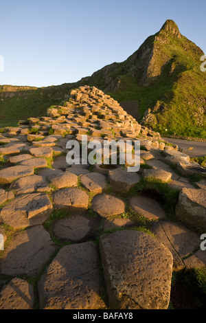 Damm Pinnacle. Die sechseckigen Säulen des Causeway beleuchtet von einer untergehenden Sonne führt das Auge in Richtung eines grünen pyramidenförmige Hügels Stockfoto