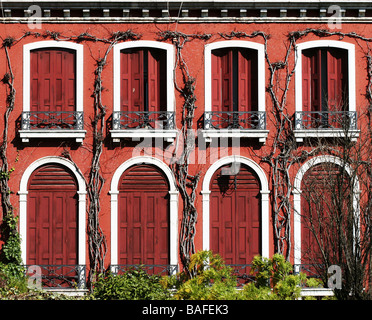 Venezianisches Gebäude mit Weinreben und burgunderrot getäfelten Fensterläden und kunstvoll verzierten, weißen Bogenfensterrahmen mit Fensterläden. Canal Grande Venedig Italien Stockfoto