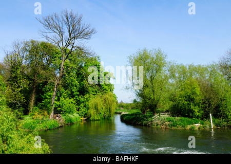 Mühlenteich bei Grantchester Cambridgeshire England Uk Stockfoto