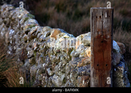 Nahaufnahme von einer Steinmauer und Zaunpfosten in The Burren Irland Stockfoto