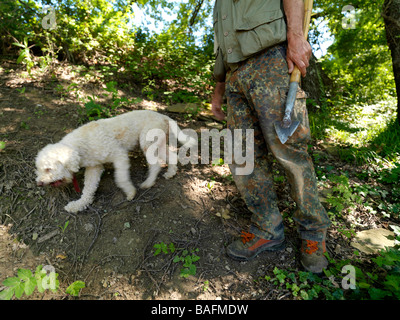 Ein Trüffeljäger und seinem Hund. Stockfoto