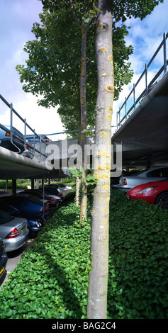 Vodafone-zentrale, Newbury, United Kingdom, Fletcher Priester, Vodafone zentrale Parkplatz. Stockfoto