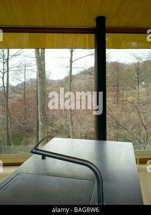 Karuizawa, Japan, Atelier Bow-Wow, Haus, Haus Kran Kran Innenansichten. Stockfoto