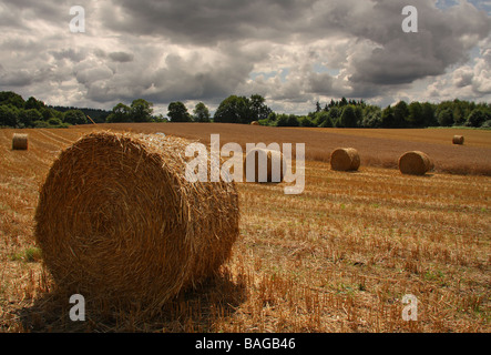 Mehrere Runde Strohballen in ein Feld-Wald in der Ferne und einen stürmischen Himmel Limousin Frankreich Stockfoto