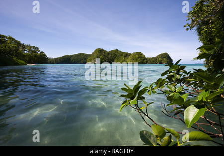 Bucht in Felsinseln Mikronesien-Palau Stockfoto