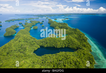 Luftaufnahme der Jellyfish Lake von Palau Mikronesien Palau Stockfoto