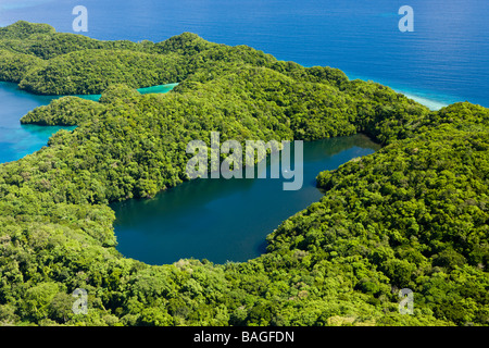 Luftaufnahme der Jellyfish Lake von Palau Mikronesien Palau Stockfoto