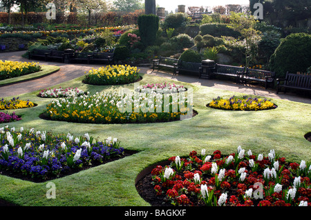 Frühling-Beete in der Dingle, Shrewsbury, Shropshire, England, UK Stockfoto