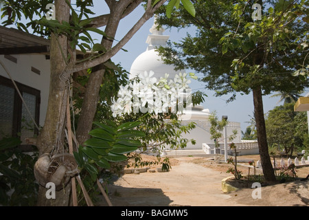 Sicht der Japaner gebaut buddhistischen Tempel Peace Pagoda am Roomasala-Hügel mit Blick auf den Hafen von Galle. Stockfoto