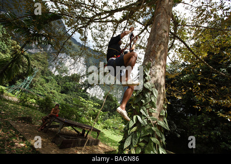 Lehre-Nationalpark führt die Kunst der SRT in einem Baum in Mulu, Borneo Stockfoto